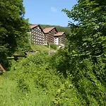 Appartementhaus Dachsteinblick Mit Indoorpool Und Sauna 3* Bad Goisern