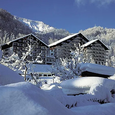 Aparthotel Appartementhaus Dachsteinblick 3*