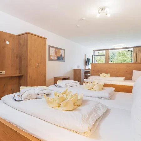 Appartementhaus Dachsteinblick Mit Indoorpool Und Sauna Apart-hotel