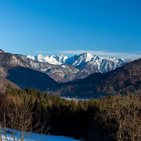Appartementhaus Dachsteinblick Mit Indoorpool Und Sauna Bad Goisern