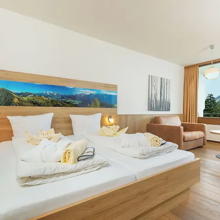 Appartementhaus Dachsteinblick Mit Indoorpool Und Sauna 3*