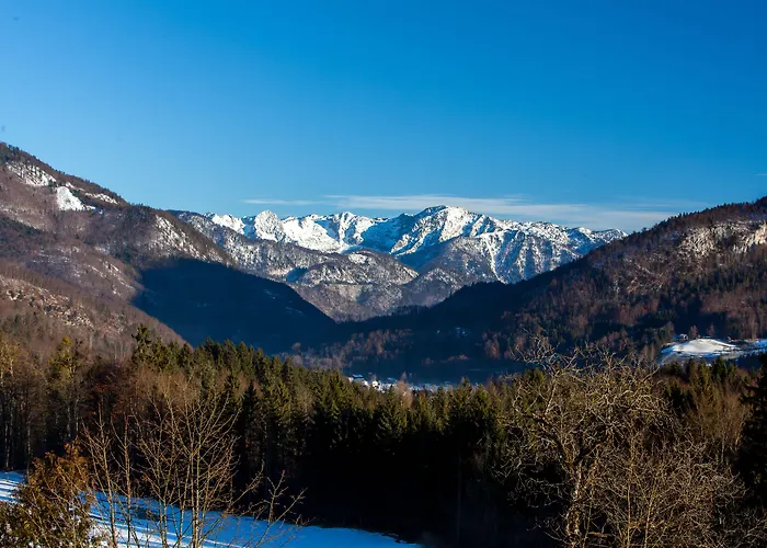 Appartementhaus Dachsteinblick Mit Indoorpool Und Sauna Bad Goisern