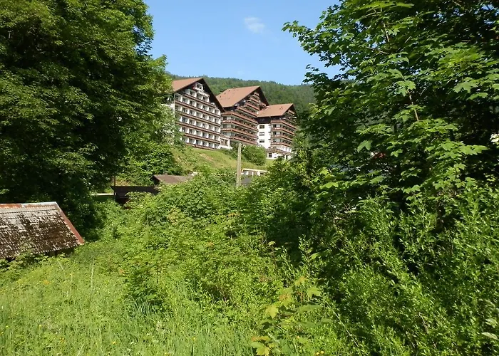 Appartementhaus Dachsteinblick Mit Indoorpool Und Sauna 3* Bad Goisern