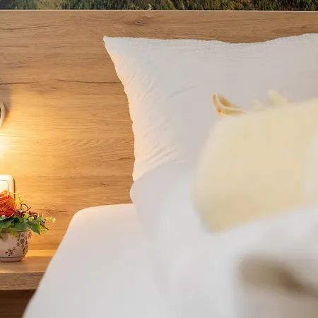 Appartement-hotel Dachstein