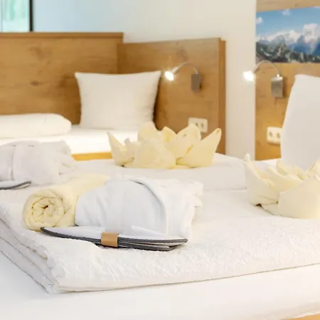 Appartement-hotel Dachstein Bad Goisern am Hallstättersee