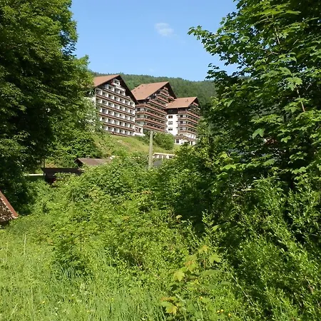 Appartementhaus Dachsteinblick Mit Indoorpool Und Sauna 3* Bad Goisern