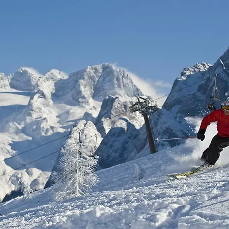 Aparthotel Appartement-hotel Dachstein 3*