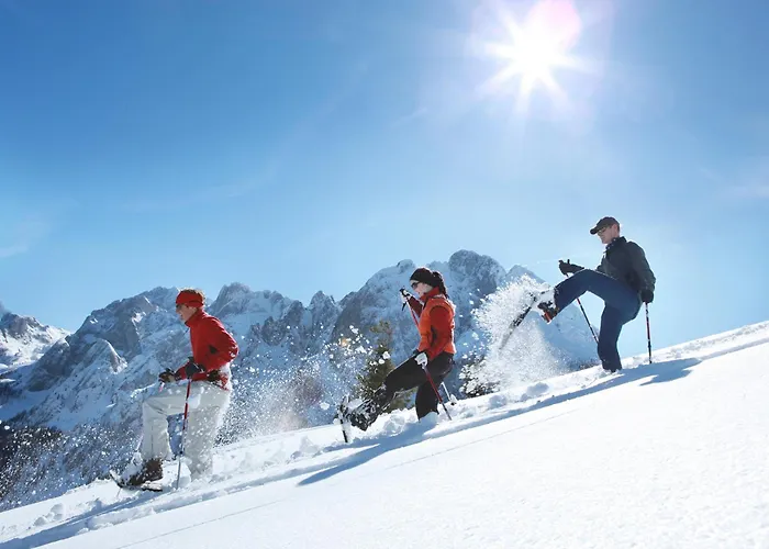Appartementhaus Dachsteinblick Mit Indoorpool Und Sauna 3* Bad Goisern am Hallstättersee